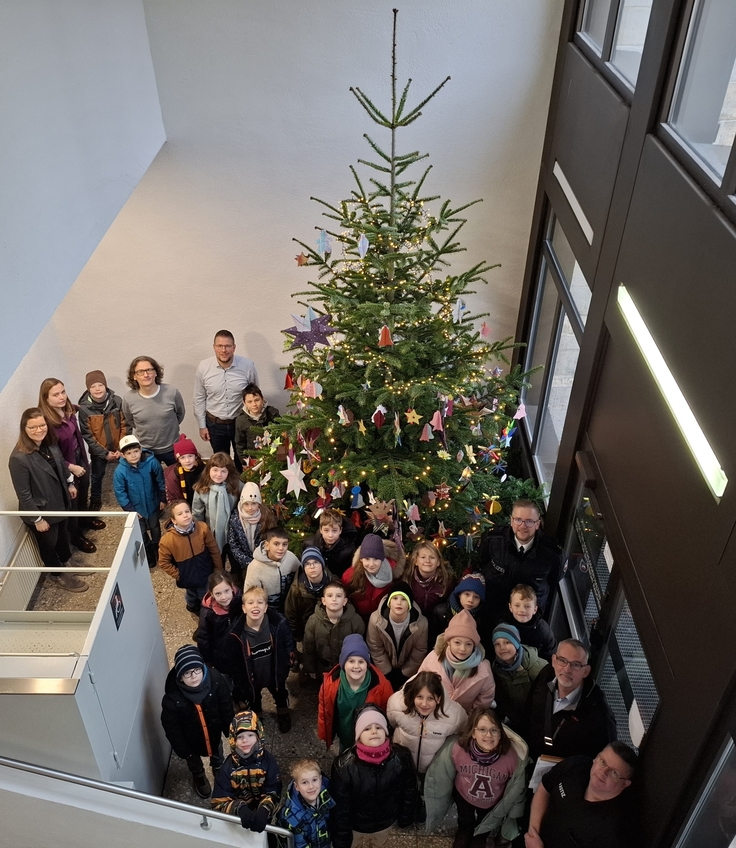 Weihnachtsbaum
